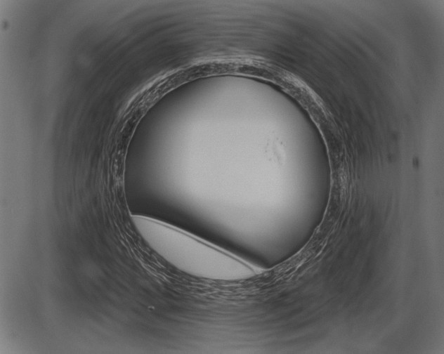X0000087631064200705030721