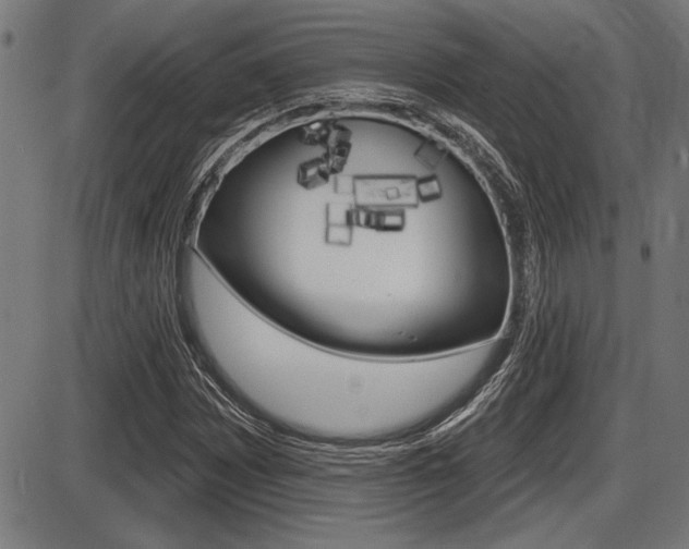X0000087631065200705030721