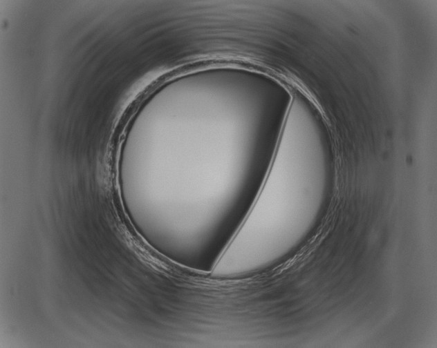 X0000087631068200705030721