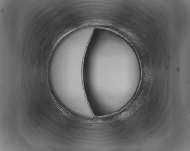 X0000087631073200705030721