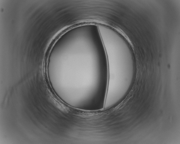 X0000087631076200705030721