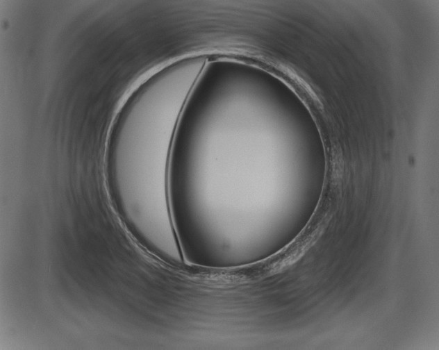 X0000087631077200705030721