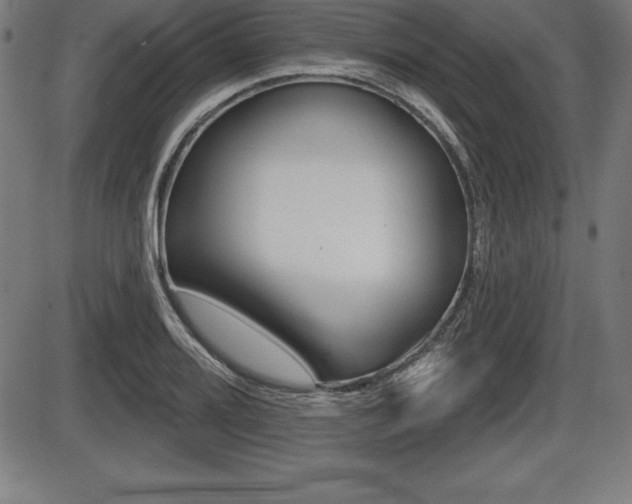 X0000087631080200705030721