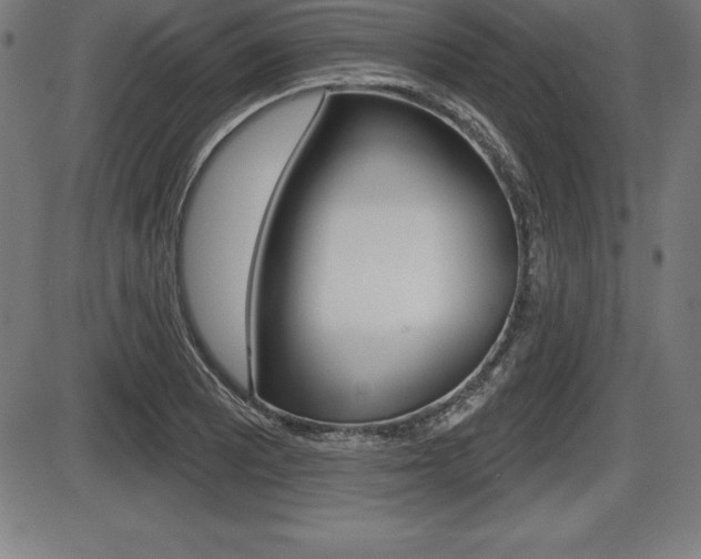 X0000087631081200705030721