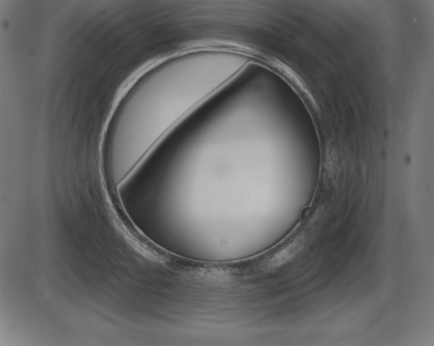 X0000087631082200705030721