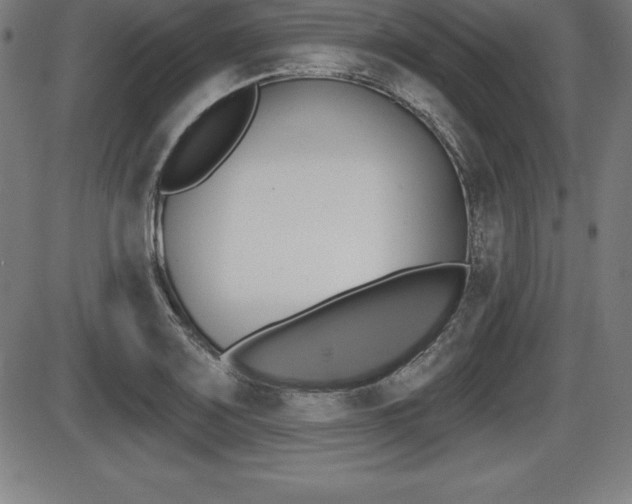 X0000087631083200705030721