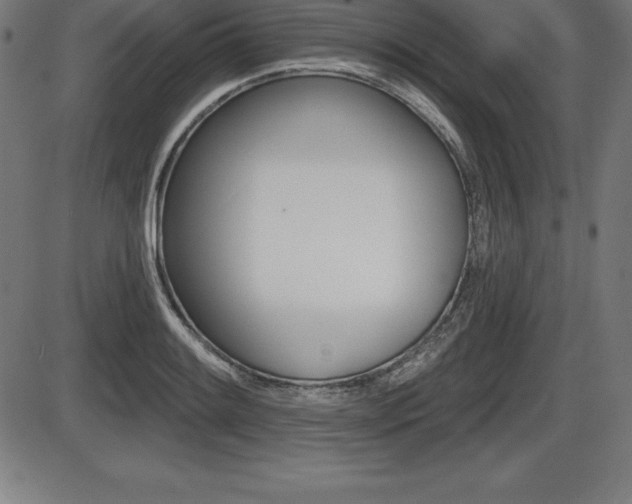 X0000087631084200705030721