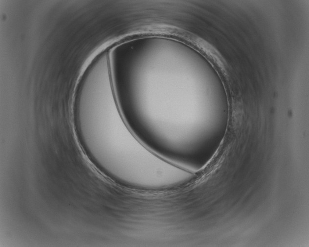 X0000087631085200705030721
