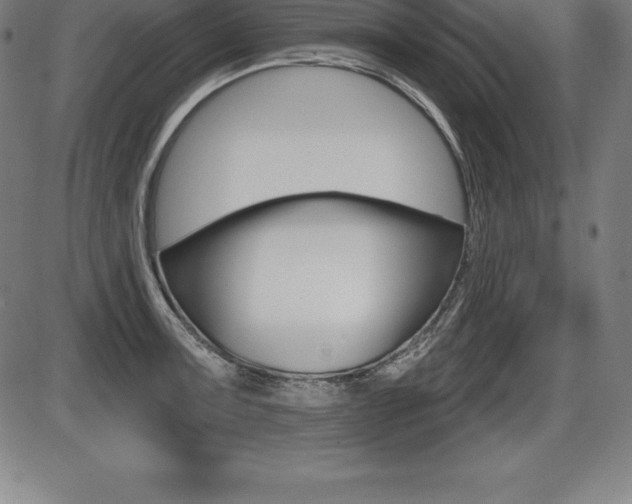 X0000087631091200705030721