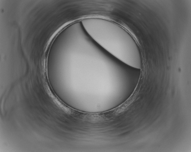 X0000087631092200705030721