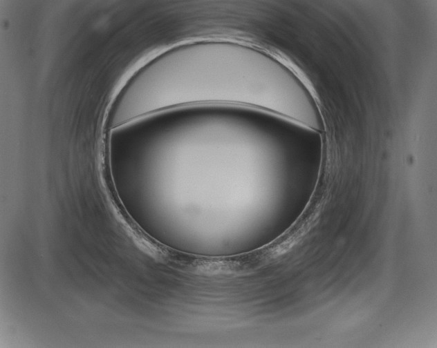X0000087631093200705030721