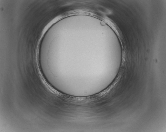 X0000087631098200705030721