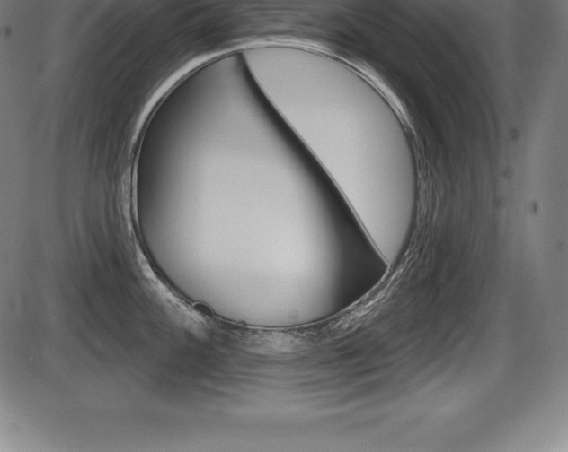 X0000087631100200705030721