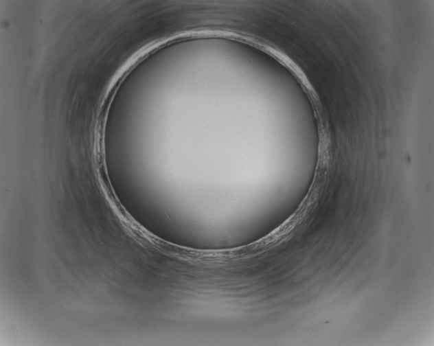 X0000087631101200705030721
