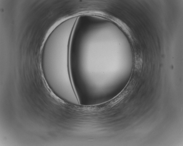 X0000087631102200705030721