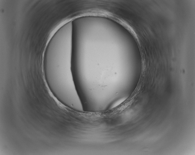 X0000087631103200705030721