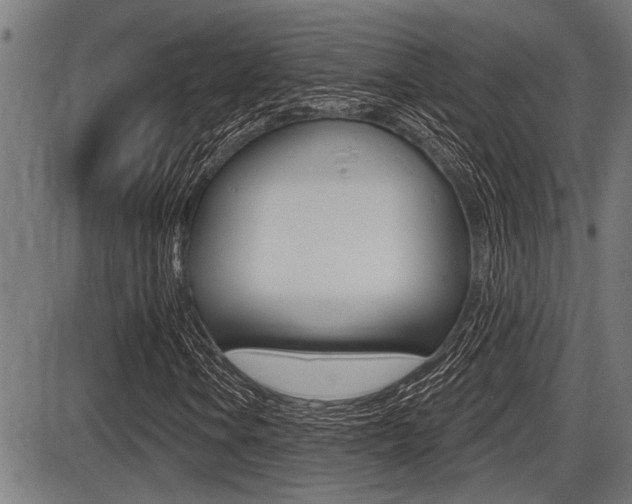 X0000087631106200705030720