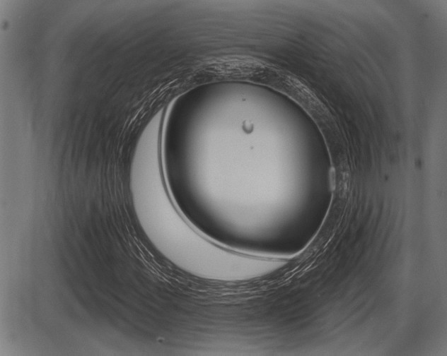 X0000087631108200705030720