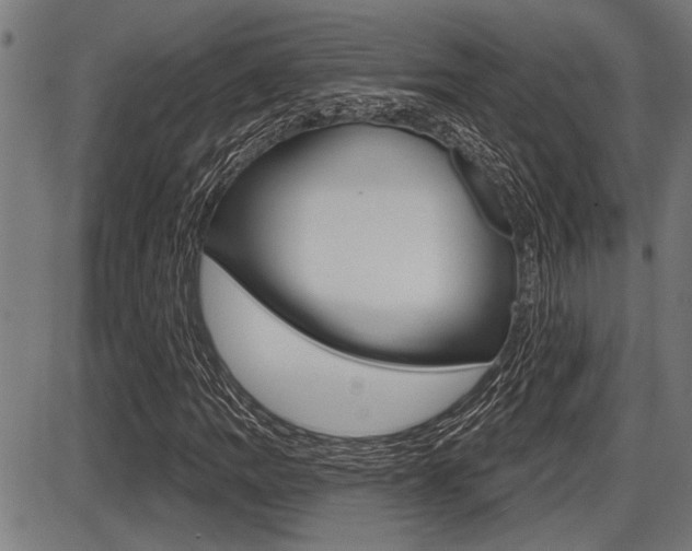 X0000087631109200705030720