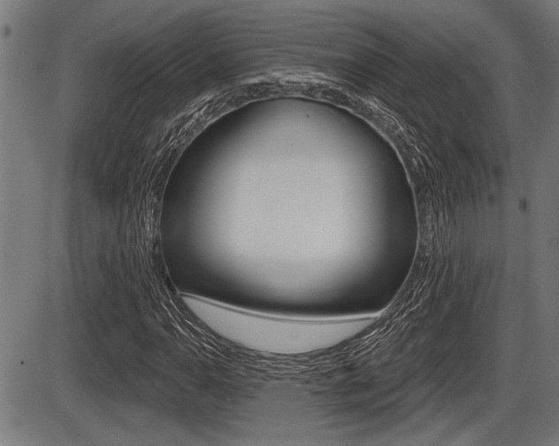 X0000087631110200705030720
