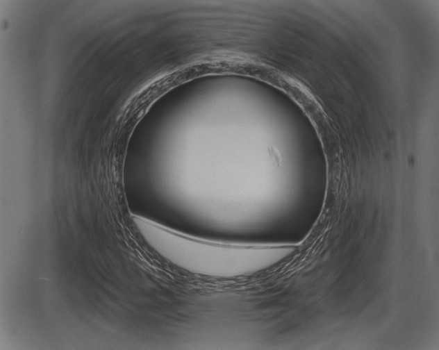 X0000087631112200705030720