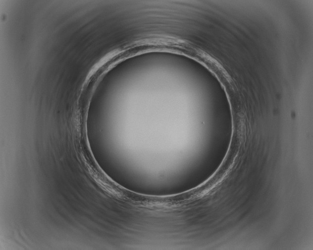 X0000087631114200705030720