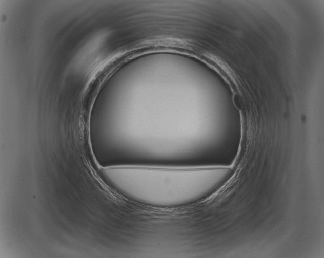 X0000087631115200705030720