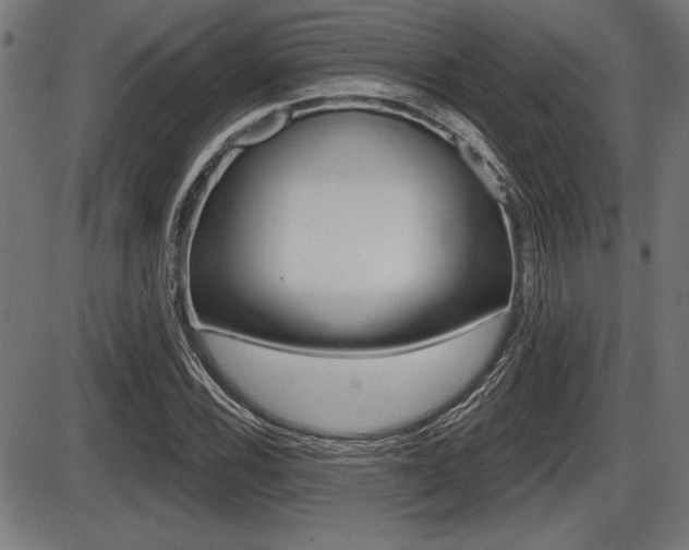X0000087631116200705030720