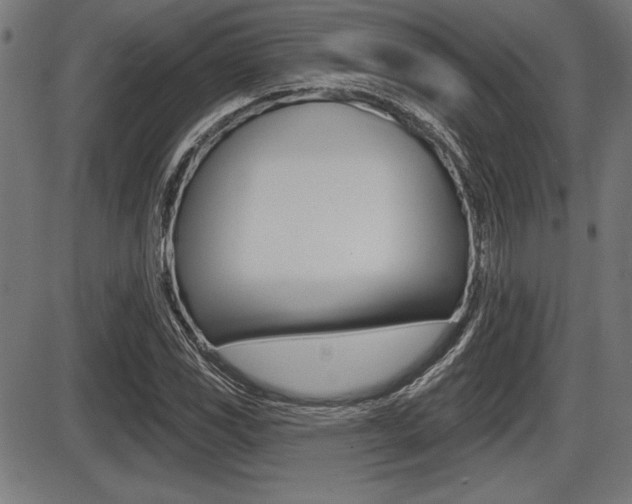 X0000087631117200705030720