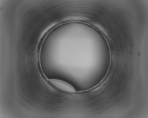 X0000087631119200705030720