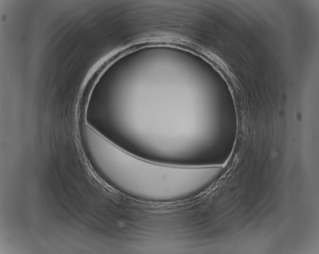 X0000087631120200705030720