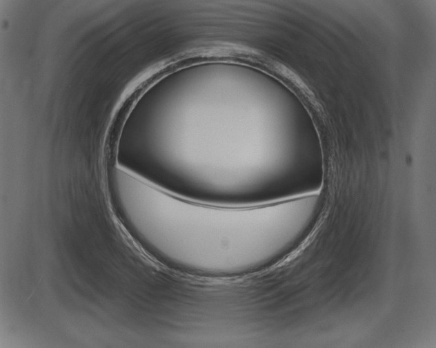 X0000087631122200705030720