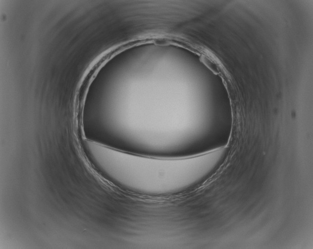 X0000087631124200705030720