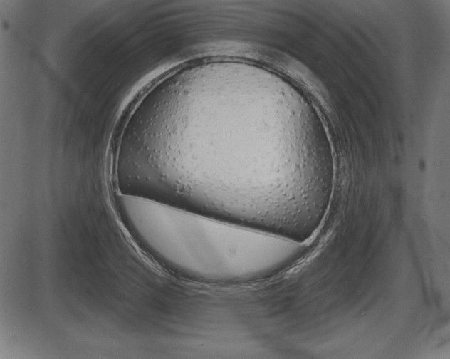 X0000087631125200705030720