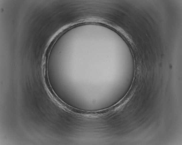 X0000087631126200705030720