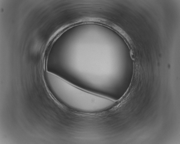 X0000087631127200705030720