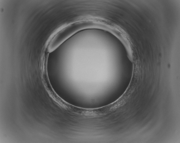 X0000087631128200705030720
