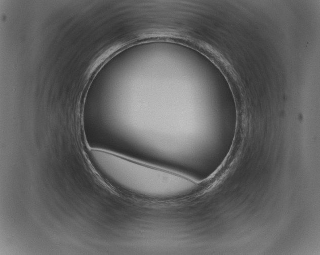 X0000087631129200705030720