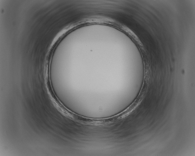 X0000087631130200705030720