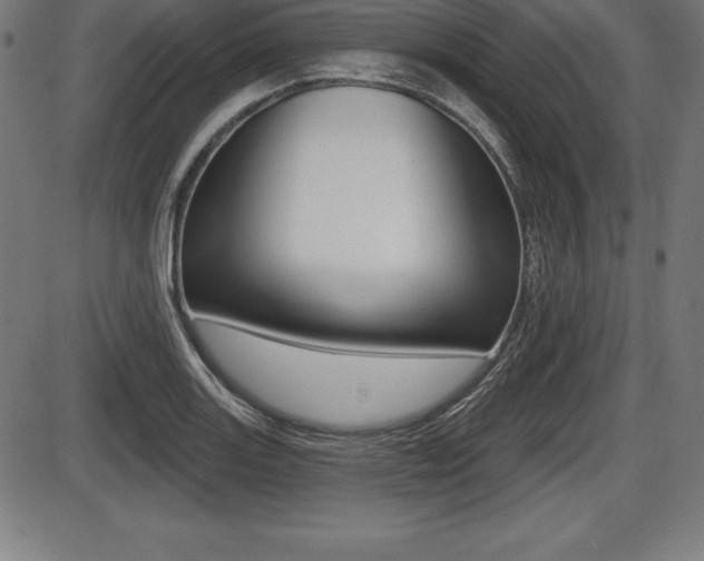 X0000087631131200705030720