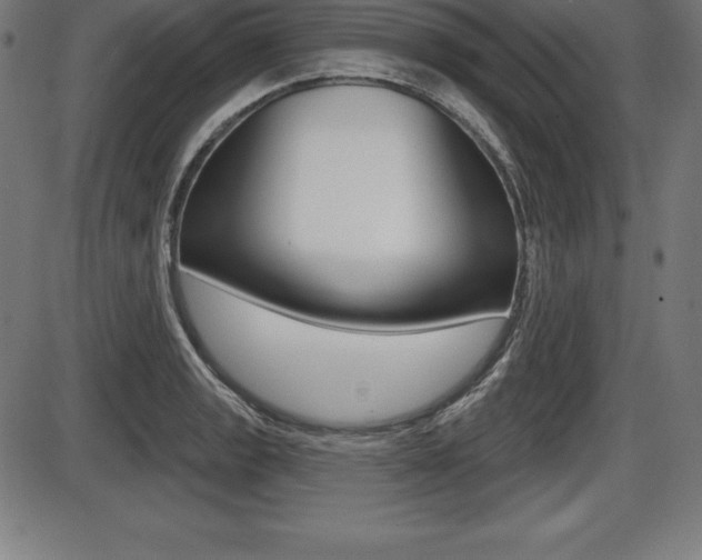 X0000087631133200705030720