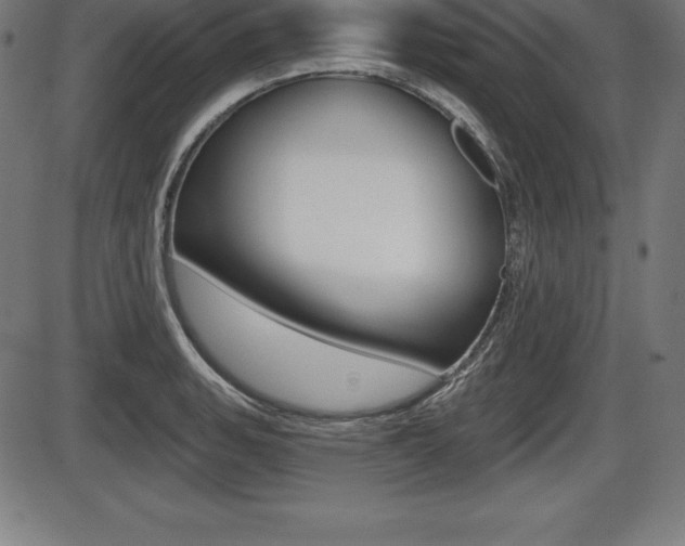 X0000087631135200705030720