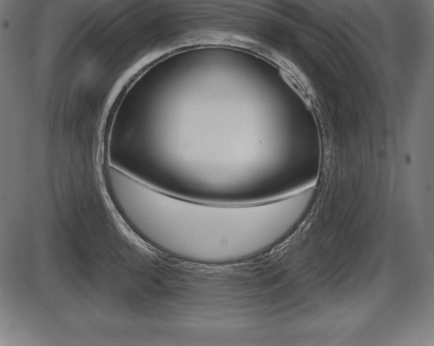 X0000087631136200705030721