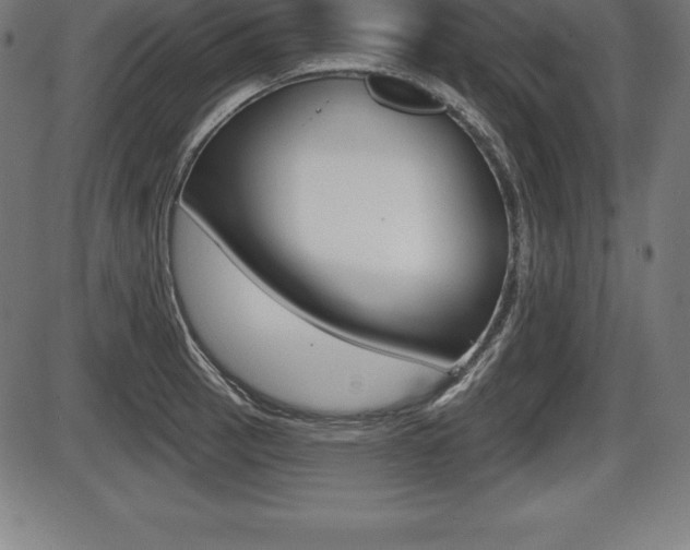 X0000087631137200705030721
