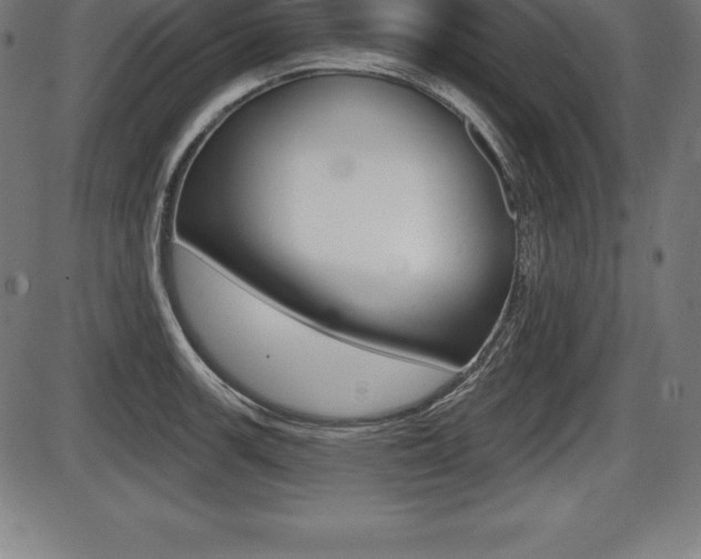 X0000087631139200705030721