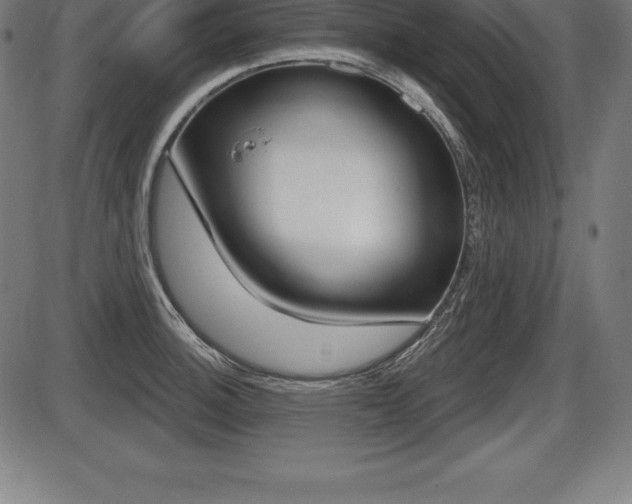 X0000087631140200705030721