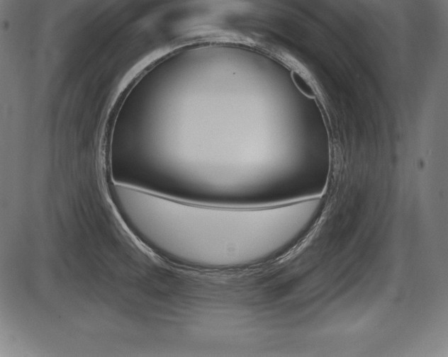 X0000087631141200705030721