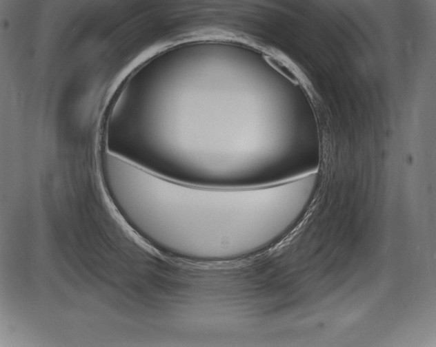 X0000087631142200705030721