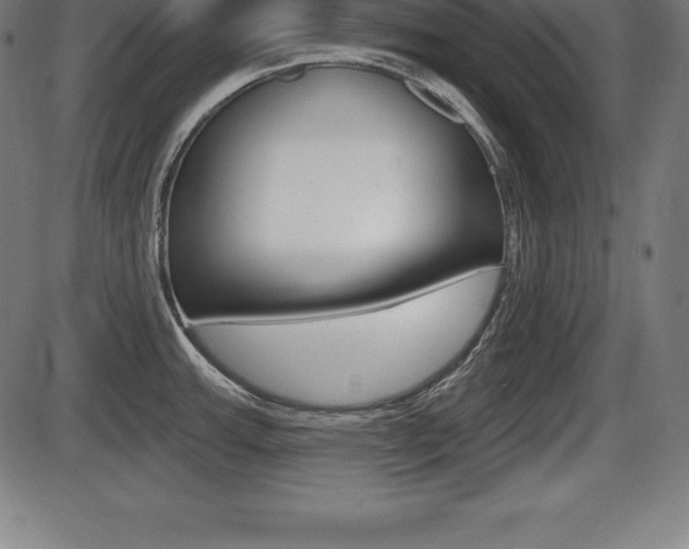 X0000087631143200705030721
