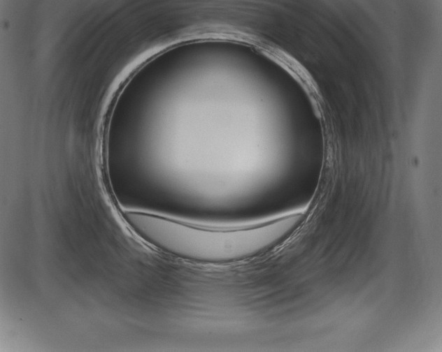 X0000087631144200705030721